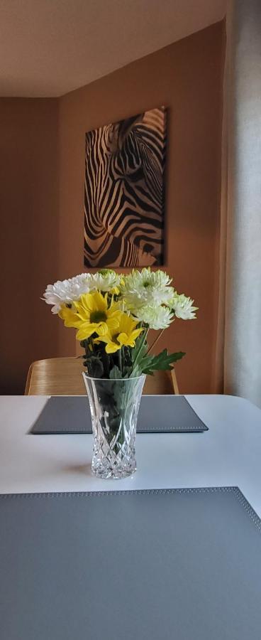 Cosy Stays Daybrook 诺丁汉 外观 照片